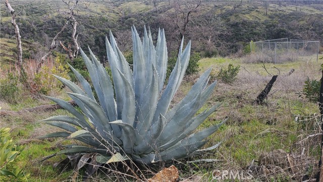 4926 Clark Road, Paradise CA: https://media.crmls.org/medias/8bc9ca12-a81b-4f45-b65f-2b25157127bd.jpg