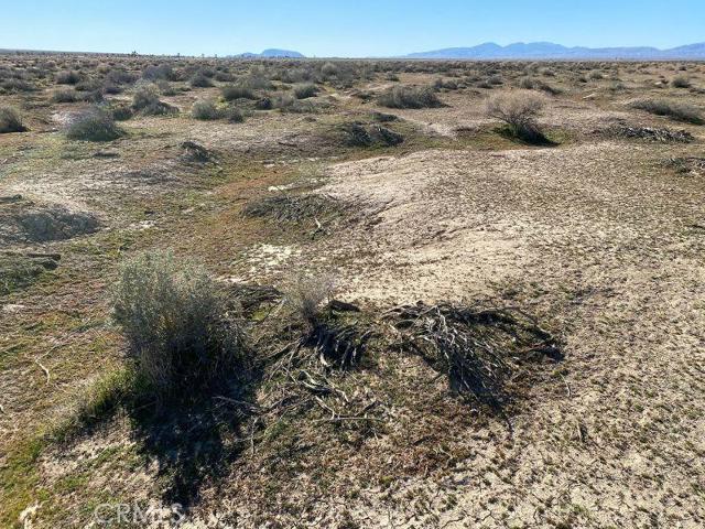 0 Joshua Blvd, California City, California 93505, ,Land,For Sale,0 Joshua Blvd,CRHD23031873