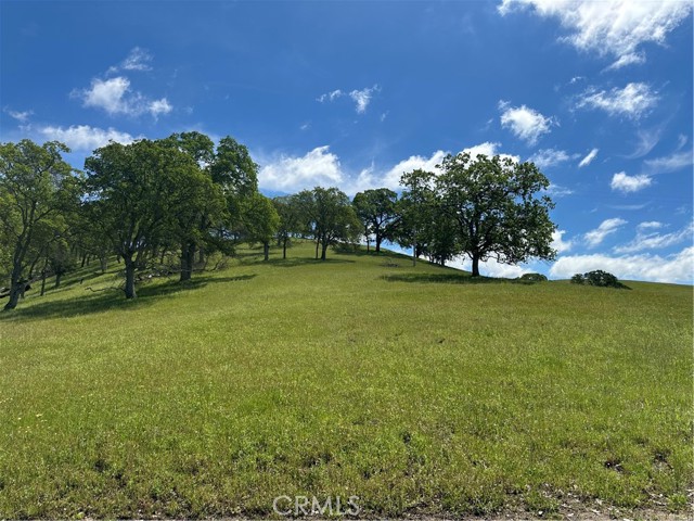 Detail Gallery Image 9 of 10 For 3869 Old Toll Rd, Mariposa,  CA 95306 - – Beds | – Baths