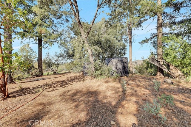 Detail Gallery Image 50 of 70 For 11595 Miller Peak, Oroville,  CA 95965 - 3 Beds | 2 Baths