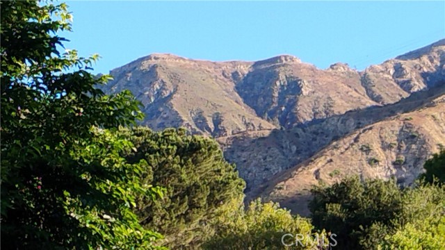 Detail Gallery Image 41 of 42 For 3017 Zane Grey, Altadena,  CA 91001 - – Beds | – Baths