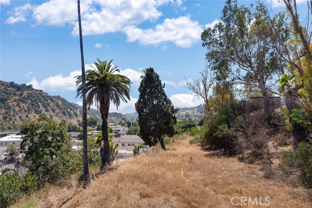 300 S Avenue 58, Highland Park (los Angeles), California 90042, ,Land,For Sale,300 S Avenue 58,CRGD24036403