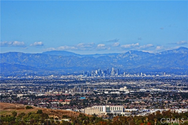 Downtown Los Angeles from your backyard!