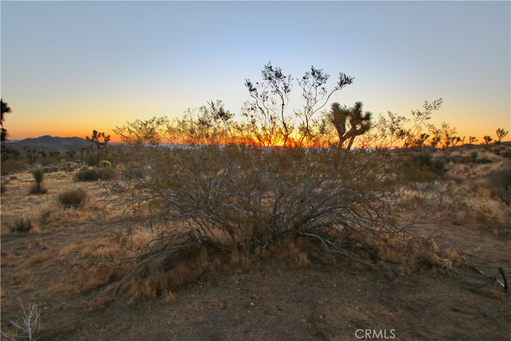 MLS #JT25001678 image #28