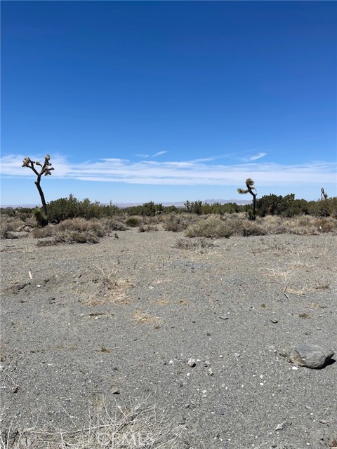 0 Coyote, Pinon Hills, CA, 92372 0 Coyote, Pinon Hills, CA, 92372
