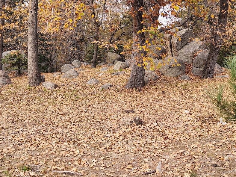 MLS #HD25258985 image #7