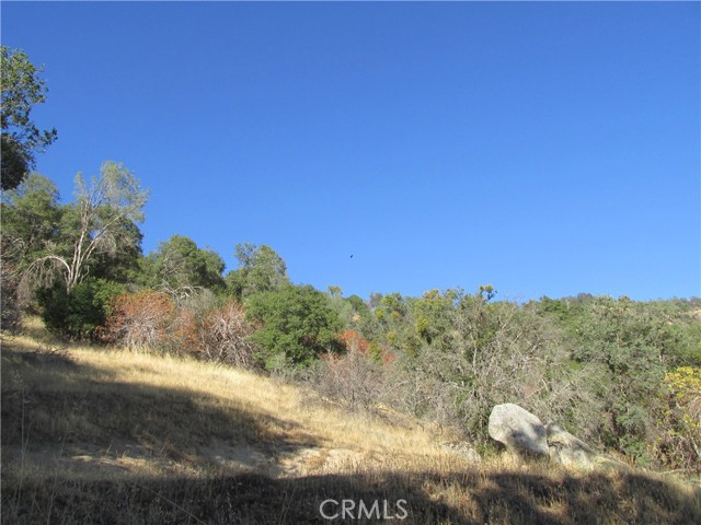 2 Old Oaks Court, North Fork, California 93643, ,Land,For Sale,2 Old Oaks Court,CRFR23180860