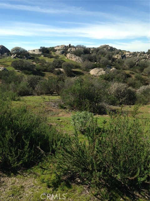 23685 Tapatia Road, Homeland CA: https://media.crmls.org/medias/8be774d5-1a4c-473e-bf77-c958468f9e90.jpg