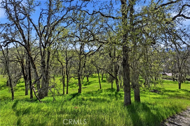 Detail Gallery Image 8 of 14 For 726 Park, Lakeport,  CA 95453 - – Beds | – Baths