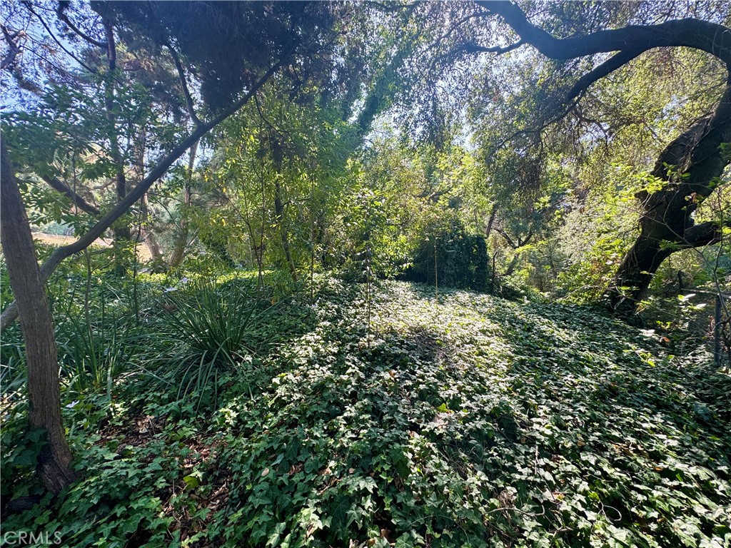https://media.crmls.org/medias/8bf2c95f-5c5e-4ced-91e2-afbec9ac8650.jpg?preset=X-Large