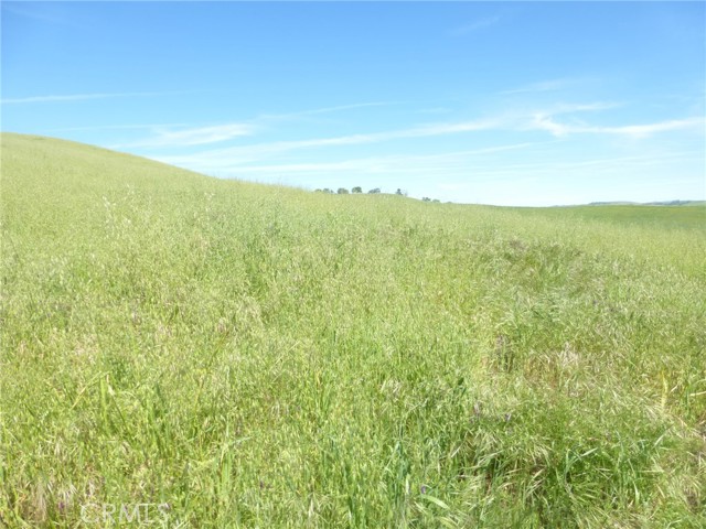 Detail Gallery Image 8 of 42 For 0 Douglas Rd. (Lot 42), San Miguel,  CA 93451 - – Beds | – Baths