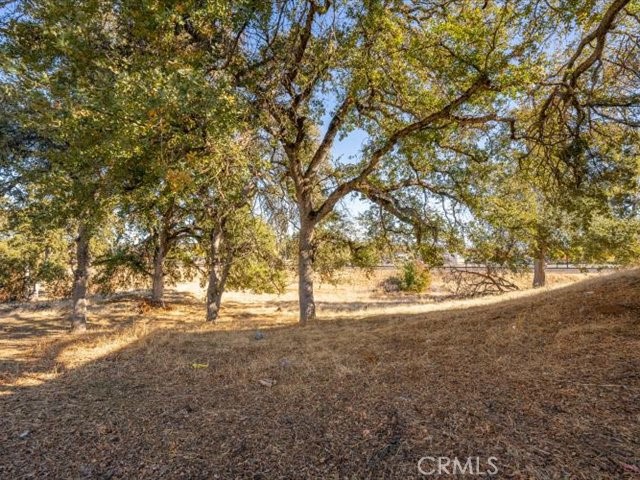 Detail Gallery Image 29 of 29 For 260 Sparrow, Red Bluff,  CA 96080 - 3 Beds | 2 Baths