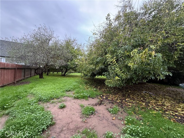 Detail Gallery Image 18 of 22 For 1616 E 21st St, Merced,  CA 95341 - 3 Beds | 2 Baths