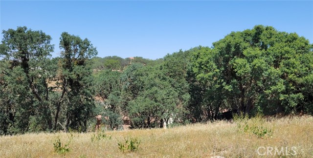 0 Grand Canyon, Paso Robles, CA, 93446 0 Grand Canyon, Paso Robles, CA, 93446
