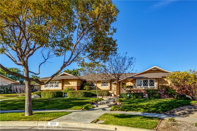 Nestled in the highly sought-after neighborhood of Northeast Fullerton, this single-level 3 bedroom, 3 bathroom home offers comfort and generous living spaces. Located within the acclaimed school boundaries of Acacia Elementary, Ladera Vista Junior High, and Troy High School, this property is perfect for those seeking top-notch education opportunities.  Inside, discover freshly painted interiors and beautiful hardwood flooring throughout, complemented by new carpet in the expansive den. The home features two fireplaces, a separate laundry room, ample storage, recessed lighting, plantation shutters, and a water softener, all adding to this home’s practicality and charm. Don’t miss the detached 2-car garage which boasts a newer garage door opener.  Situated on a sprawling pie-shaped lot spanning over 20,000 square feet, the property features a large pool and a capacious outdoor space perfect for entertaining, gardening, or simply enjoying our SoCal weather. With endless possibilities, this is truly a rare find in a prime location!