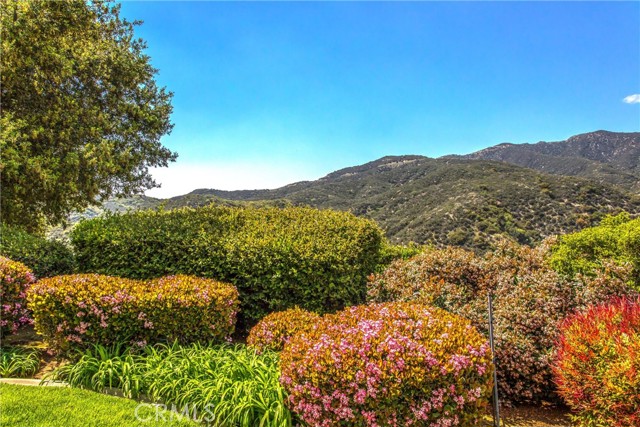 13046 Oak Crest Drive, Yucaipa CA: https://media.crmls.org/medias/8bfacd59-c10f-4793-a68e-3c3a93cf6baa.jpg