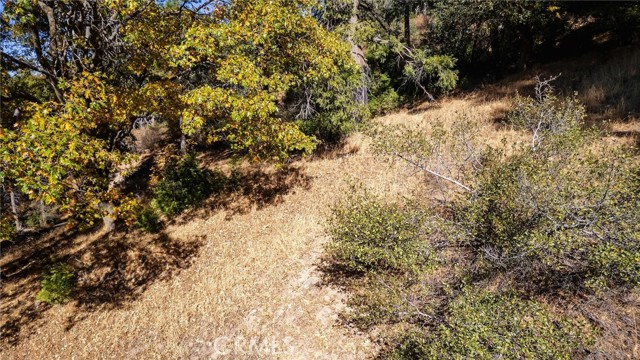 Detail Gallery Image 7 of 40 For 0 Mojave River Rd, Cedarpines Park,  CA 92322 - – Beds | – Baths