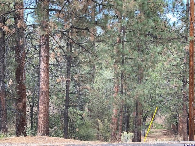 600 Travertine Road, Big Bear City, California 92314, ,Land,For Sale,600 Travertine Road,CRGD24038004