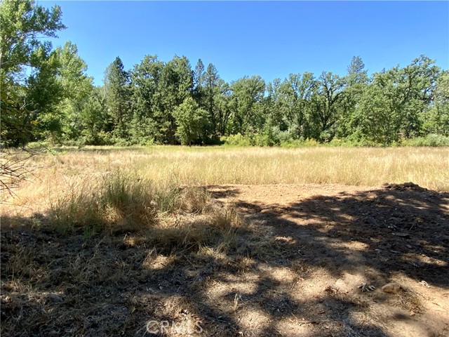 0 Giant Oak Road, Oakhurst, California 93644, ,Land,For Sale,0 Giant Oak Road,CRFR23164059