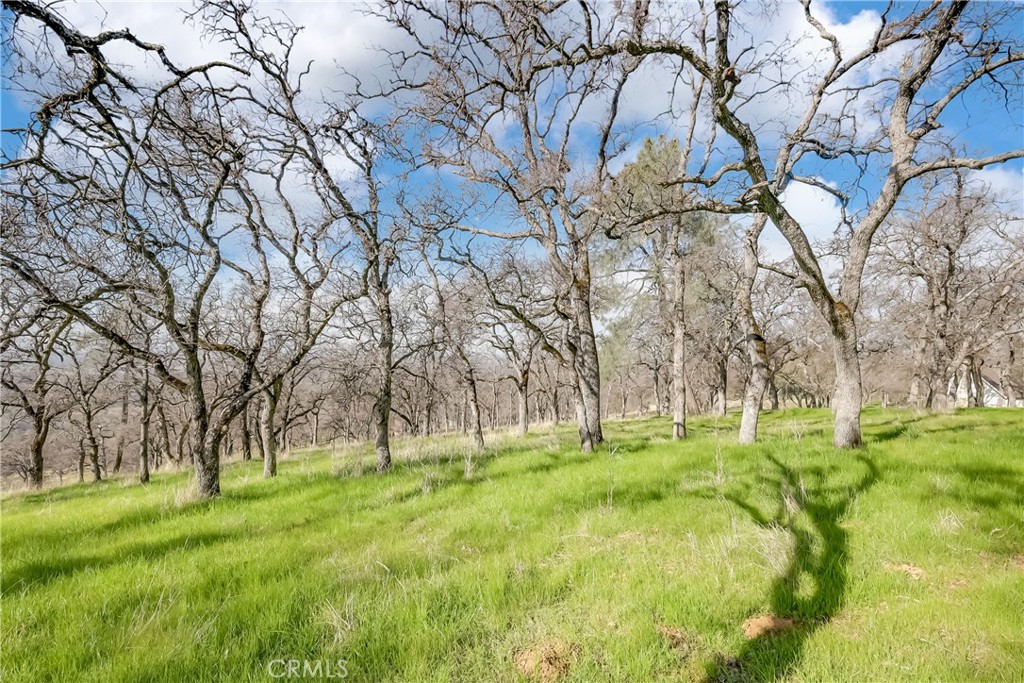 https://media.crmls.org/medias/8c08b4d1-04b4-455e-9780-37f95d276629.jpg?preset=X-Large