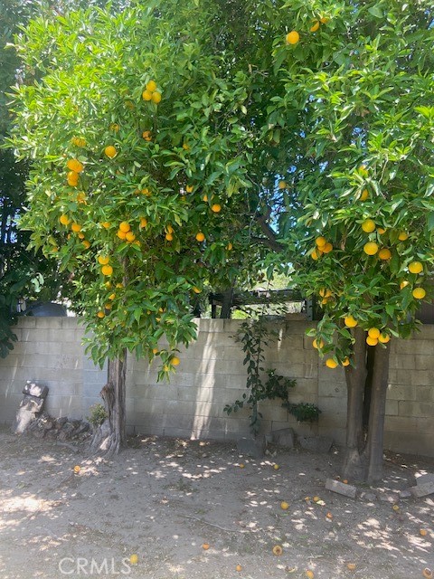 https://media.crmls.org/medias/8c09ab81-8682-4a44-9cbd-dc9a22b342bb.jpg?preset=X-Large