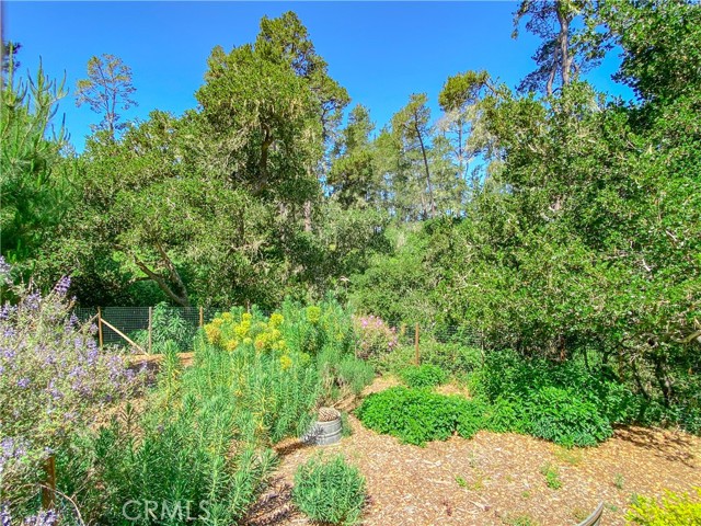 Detail Gallery Image 62 of 70 For 2195 Wilton, Cambria,  CA 93428 - 3 Beds | 2 Baths
