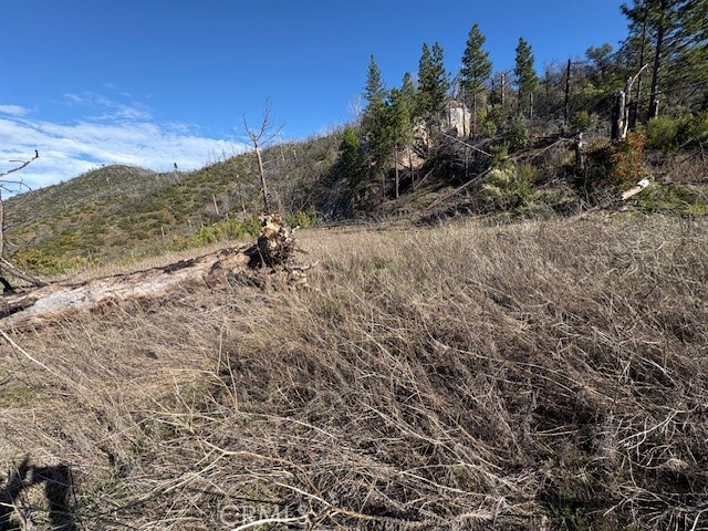 Detail Gallery Image 6 of 34 For 8870 Oro Quincy, Berry Creek,  CA 95916 - – Beds | – Baths