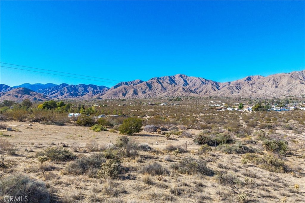 MLS #JT25257903 image #17