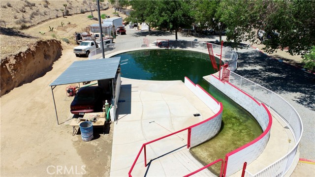 HORSE EQUINE POOL