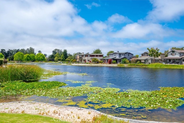 740 Avocet Way, Arroyo Grande CA: https://media.crmls.org/medias/8c2c4b1b-1301-4293-b2ac-9151bda09d8e.jpg