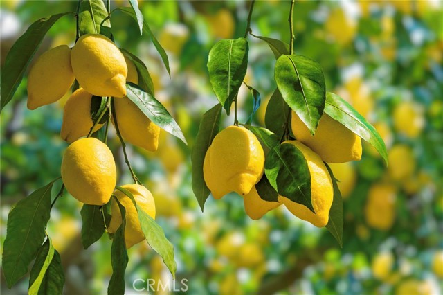 Detail Gallery Image 35 of 40 For 15703 Lujon, Hacienda Heights,  CA 91745 - 3 Beds | 1 Baths