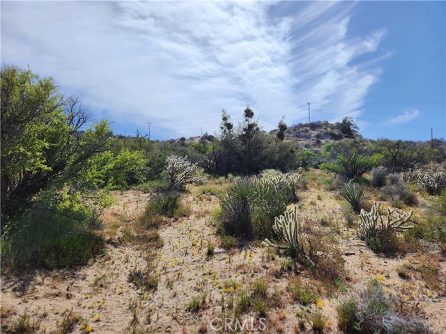 Detail Gallery Image 15 of 49 For 1 Sun Terrace, Mountain Center,  CA 92561 - – Beds | – Baths