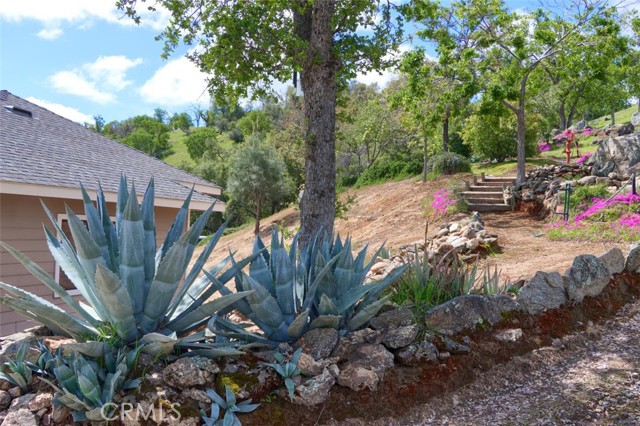 Detail Gallery Image 39 of 50 For 42625 Red Top Mountain Ct, Coarsegold,  CA 93614 - 3 Beds | 2 Baths