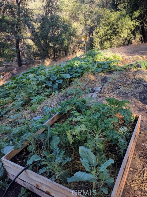 Detail Gallery Image 24 of 60 For 5049 Ca-78, Santa Ysabel,  CA 92070 - 3 Beds | 2/1 Baths