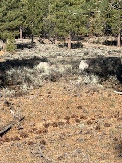 Detail Gallery Image 6 of 15 For 34557 Polique Canyon, Fawnskin,  CA 92333 - – Beds | – Baths