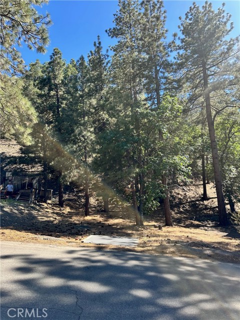 0 Heath Creek Drive, Wrightwood CA: https://media.crmls.org/medias/8c4199d9-4326-4cb6-abc6-55aa5a55664b.jpg