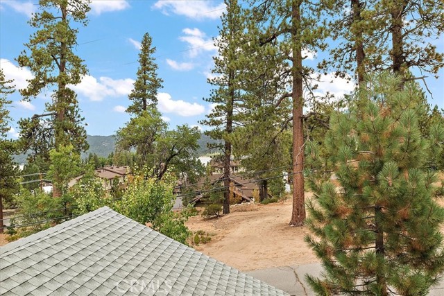 Detail Gallery Image 24 of 45 For 40944 Seneca Trl, Big Bear Lake,  CA 92315 - 4 Beds | 3 Baths