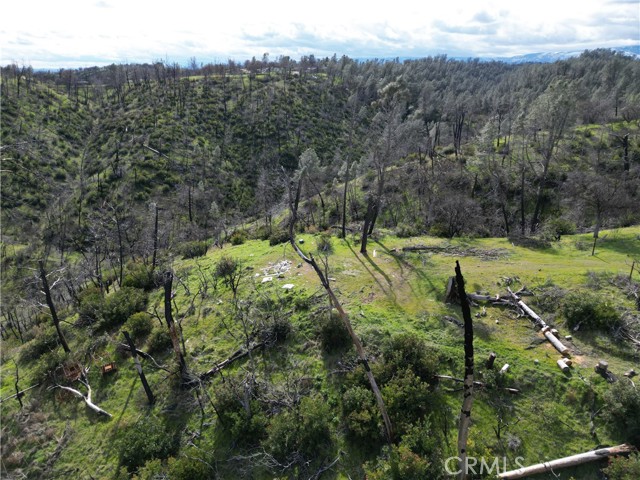 Detail Gallery Image 8 of 25 For 7074 Sugar Pine Ct, Corning,  CA 96021 - – Beds | – Baths