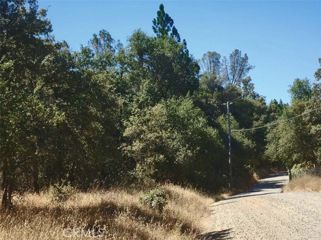 Detail Gallery Image 8 of 21 For 48 Rices Texas Hill Rd, Oregon House,  CA 95962 - – Beds | – Baths