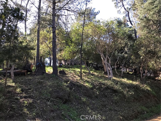 0 Radcliff Avenue, Cambria, California 93428, ,Land,For Sale,0 Radcliff Avenue,CRSC22028382