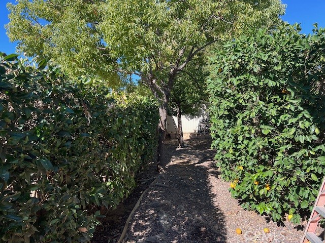 MLS #IG25248862 image #28