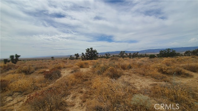 0 Vicinity Kingbird & 243rd St W, Rosamond, California 93560, ,Land,For Sale,0 Vicinity Kingbird & 243rd St W,CRSR23155108