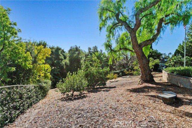 Detail Gallery Image 51 of 71 For 3305 Rancho Rio Bonita Rd, Covina,  CA 91724 - 3 Beds | 2/1 Baths