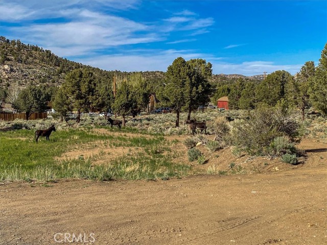 550 Eagle Ridge Rd, Big Bear, CA 92314