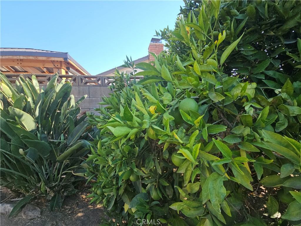 https://media.crmls.org/medias/8c58f924-c87d-4914-b860-ca691d1e571b.jpg?preset=X-Large