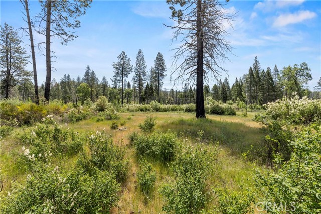 Detail Gallery Image 23 of 30 For 3874 Coniston Loop, Oroville,  CA 95965 - – Beds | – Baths
