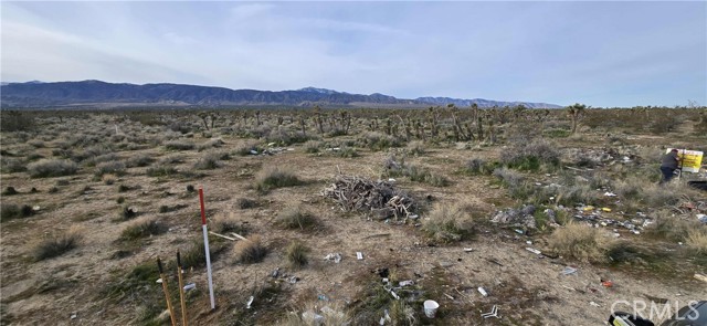 Image 8 of 17 For 26000 Avenue W