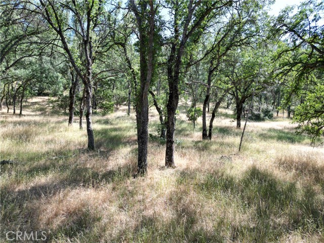 Corning, CA 96021