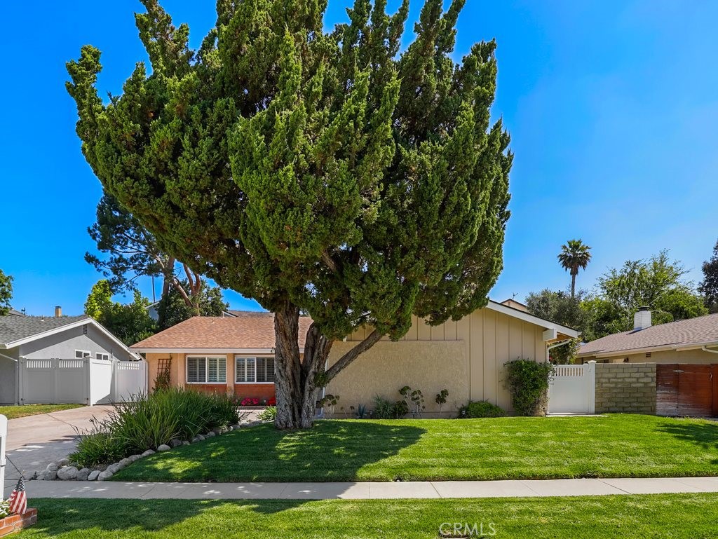 6569 Pinion Street