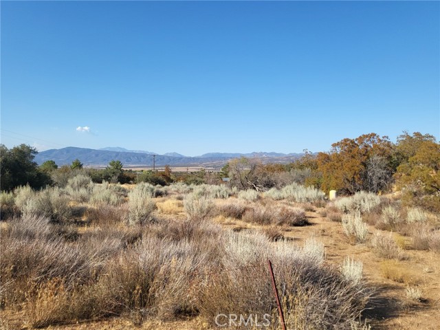 58700 Mica, Anza, CA, 92539 58700 Mica, Anza, CA, 92539
